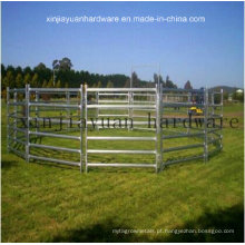 Galvanizado, pecuária, fazenda, cerca, portão, gado, ovelha, cavalo